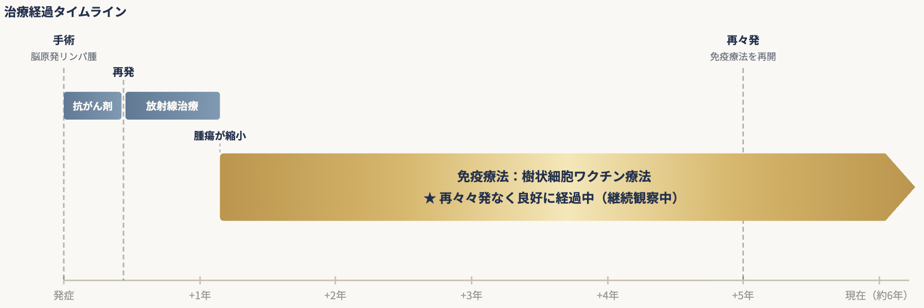 悪性リンパ腫2996 治療経過タイムライン