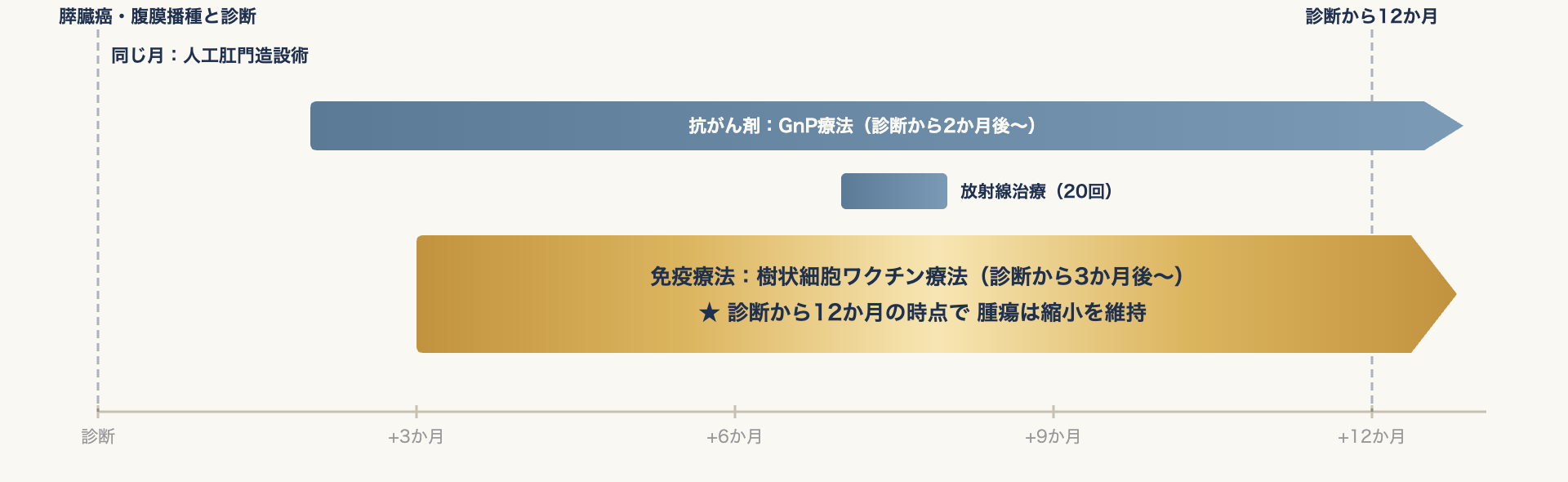 膵臓癌・腹膜播種の診断と人工肛門造設術のあと、診断から2か月後に抗がん剤(GnP療法)、3か月後に樹状細胞ワクチン療法を開始し、7か月後に放射線治療(20回)を行った、診断から12か月までの治療経過